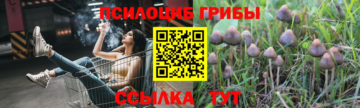 Псилоцибиновые грибы мухоморы  Вход с VPN  Нижний Тагил 