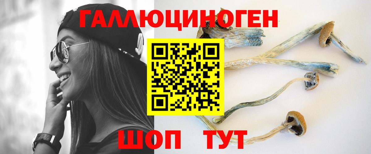 Псилоцибиновые грибы Cubensis Нижний Тагил